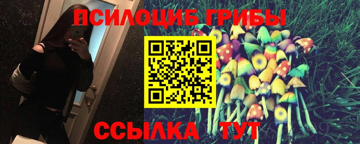 Галлюциногенные грибы Psilocybe Златоуст