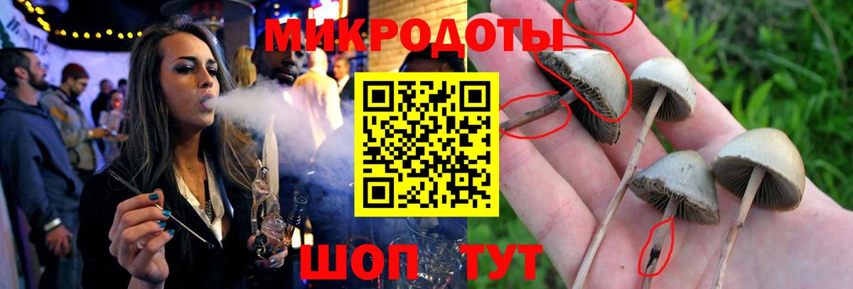 Псилоцибиновые грибы прущие грибы  Вход с VPN  Псилоцибиновые грибы мухоморы  Златоуст 